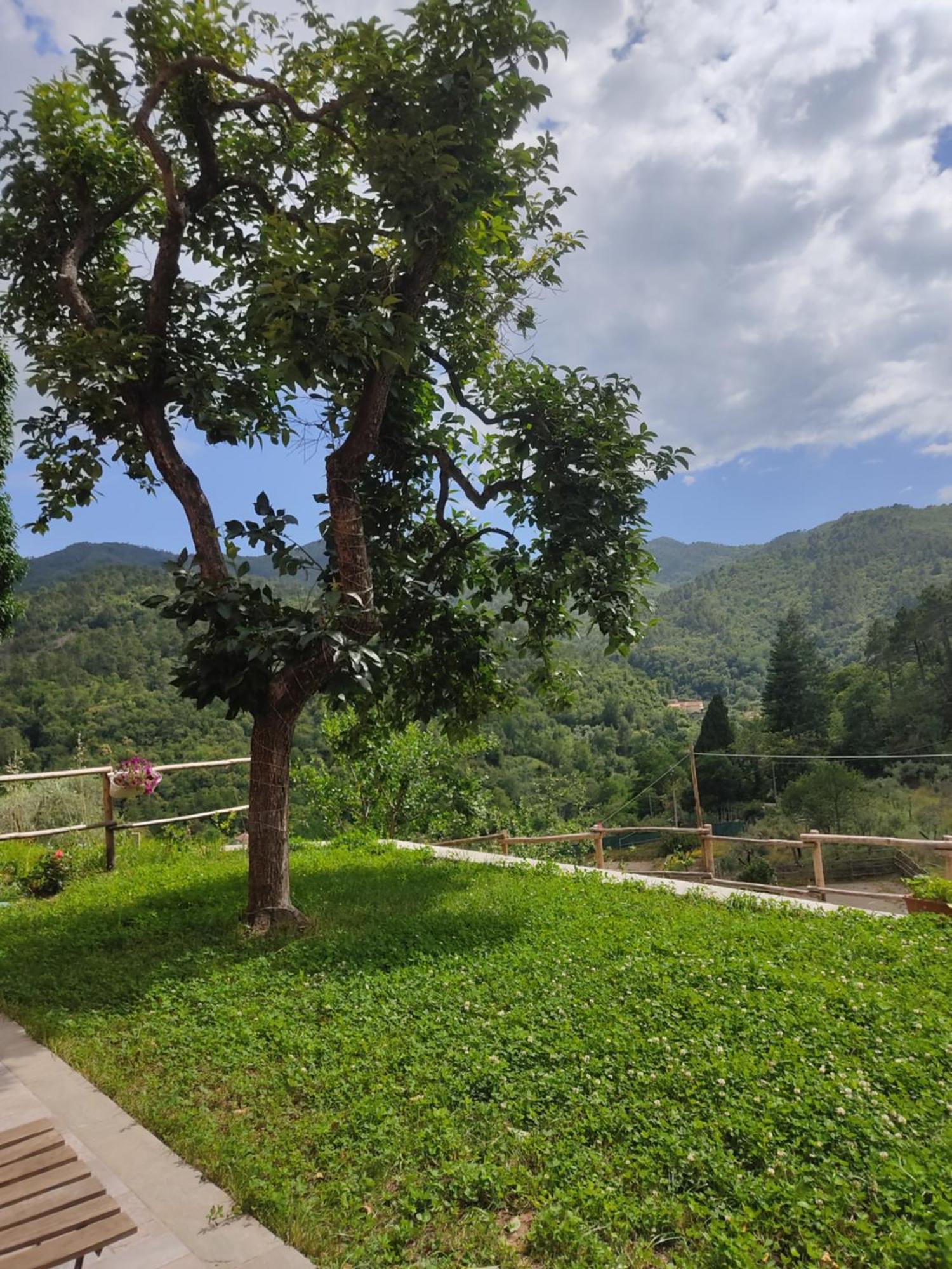 Agriturismo Torsivi Castiglione Chiavarese Exterior foto